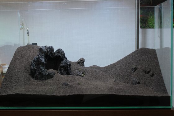 2012040803.jpg