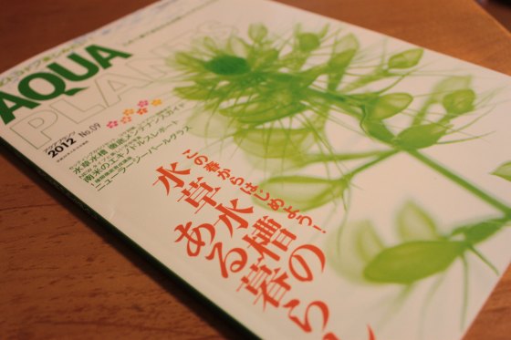 2012050401.jpg