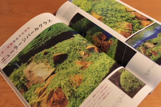 2012050402.jpg