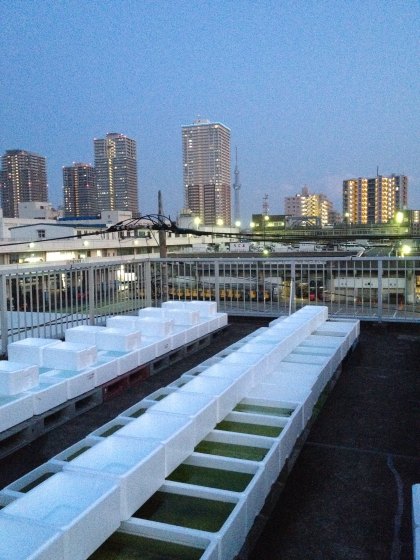 2012052103.jpg