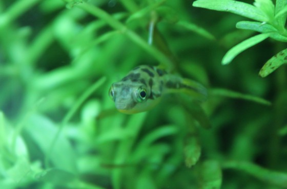 2013021801.jpg