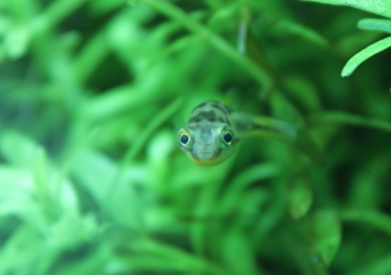 2013021802.jpg