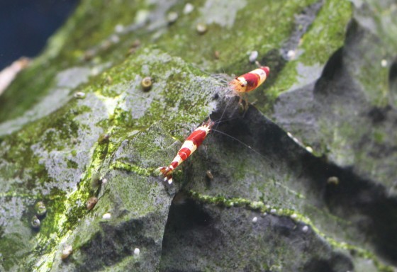 2013022001.jpg