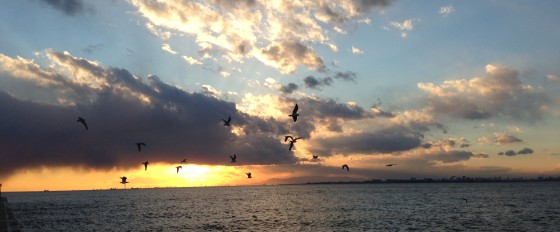 2013022201.jpg