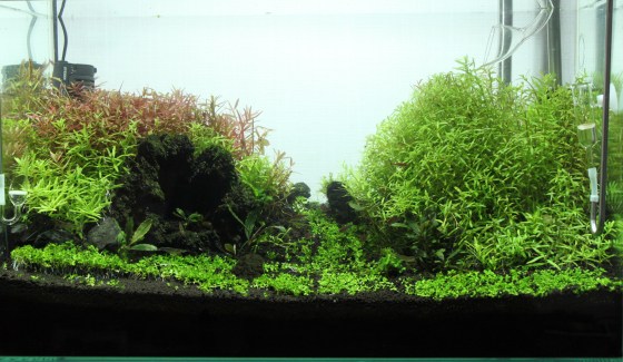 2013022406.jpg