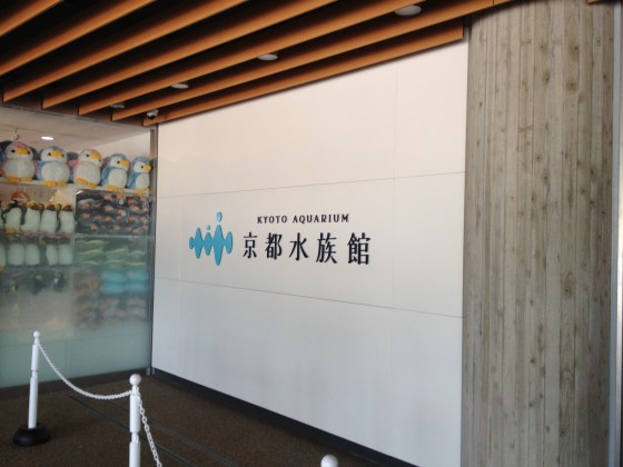 2013022602.jpg