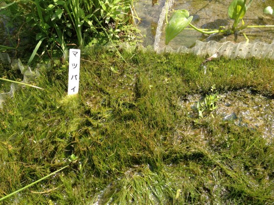 2013022607.jpg