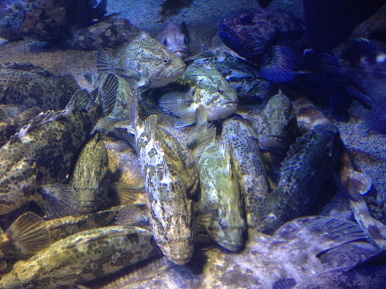 2013030303.jpg