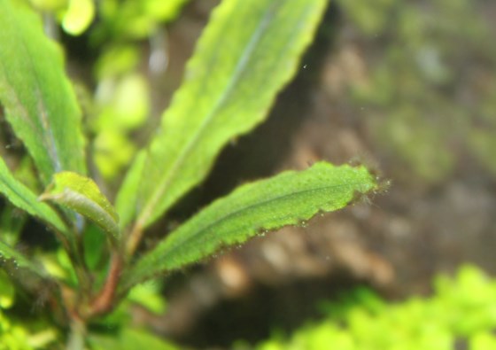 2013031302.jpg