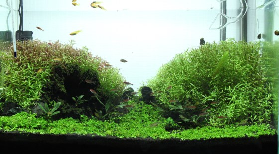 2013031902.jpg