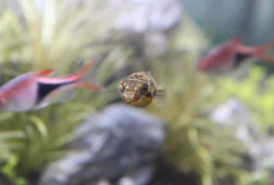 2011041804.jpg